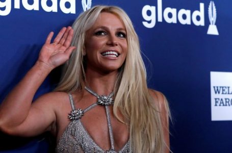 Britney Spears en Chile: Artista Claudia Bitrán trae exposición en homenaje a la princesa del pop
