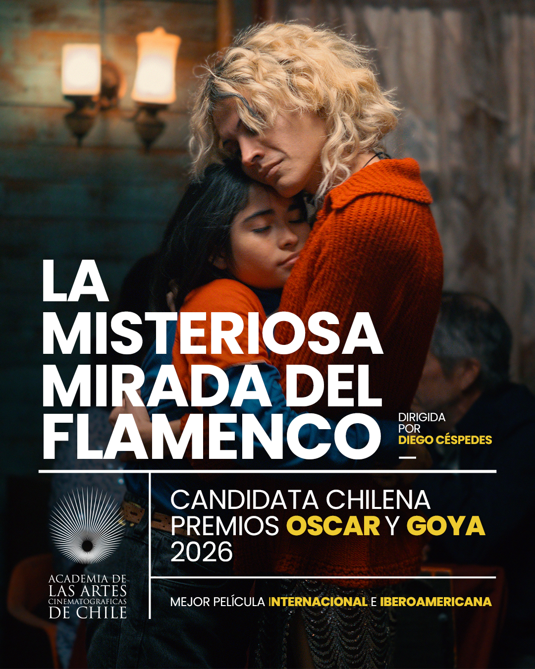 La misteriosa mirada del flamenco