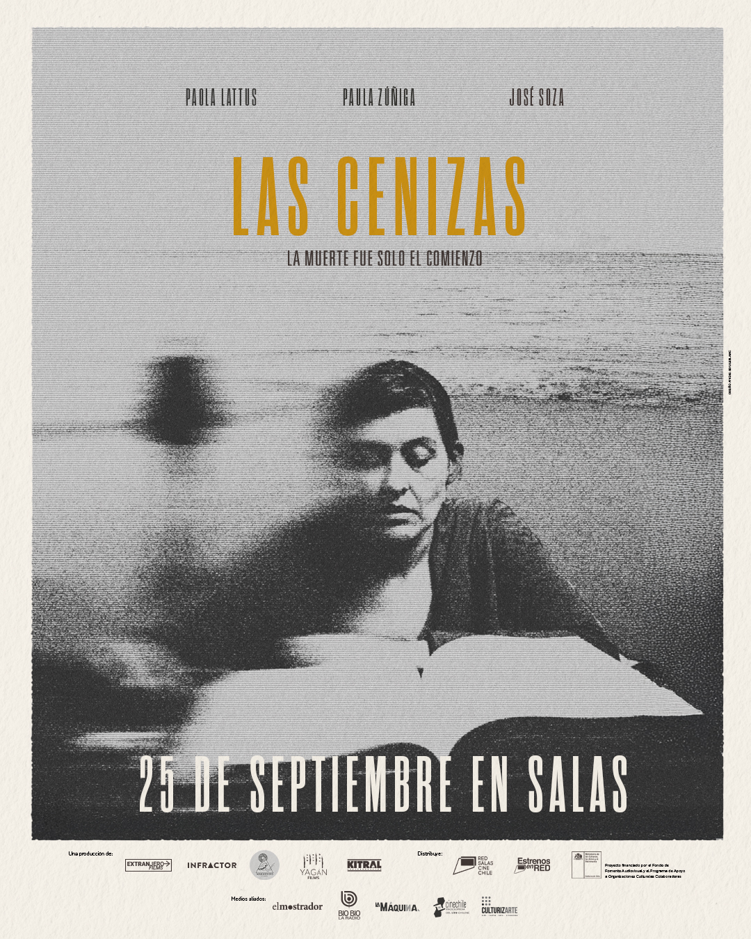 Afiche de Las cenizas